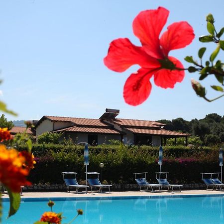 Agriturismo Ninea Рикади Экстерьер фото