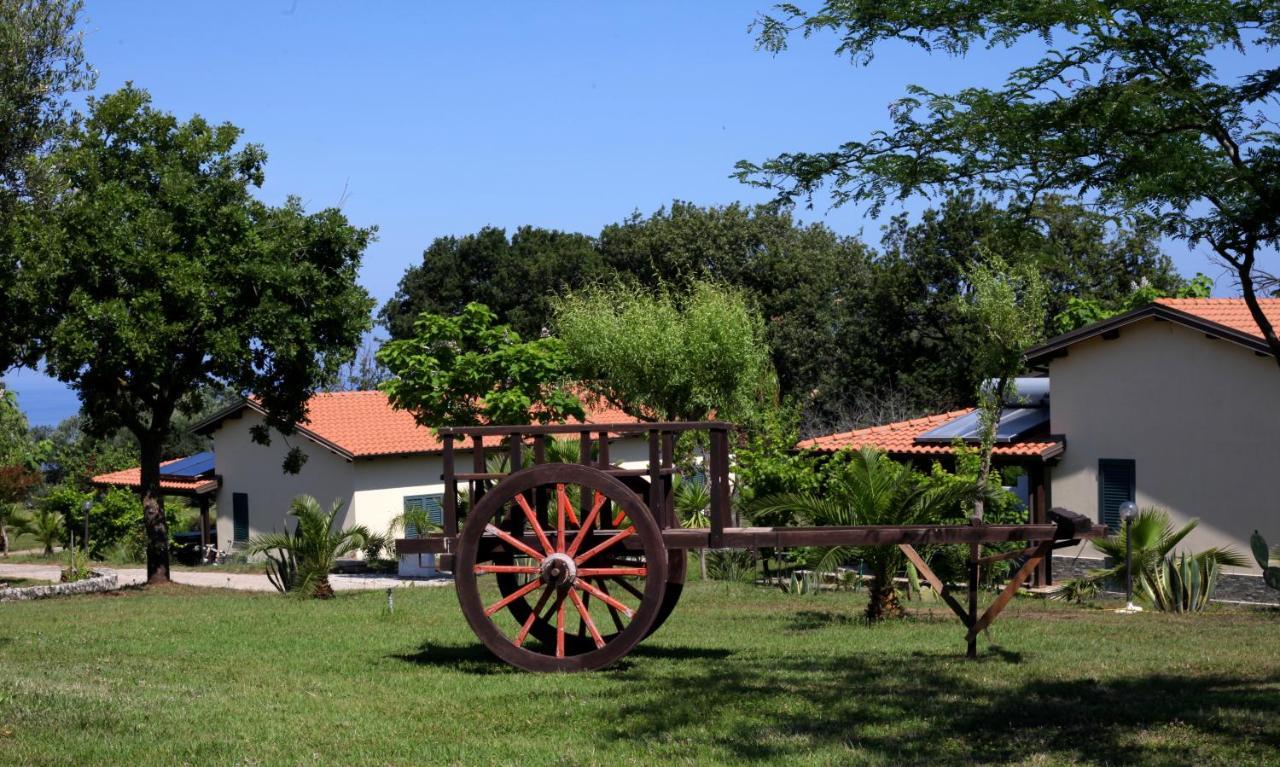 Agriturismo Ninea Рикади Экстерьер фото
