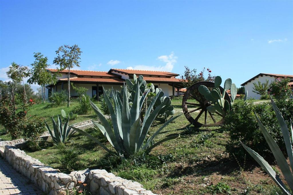 Agriturismo Ninea Рикади Экстерьер фото