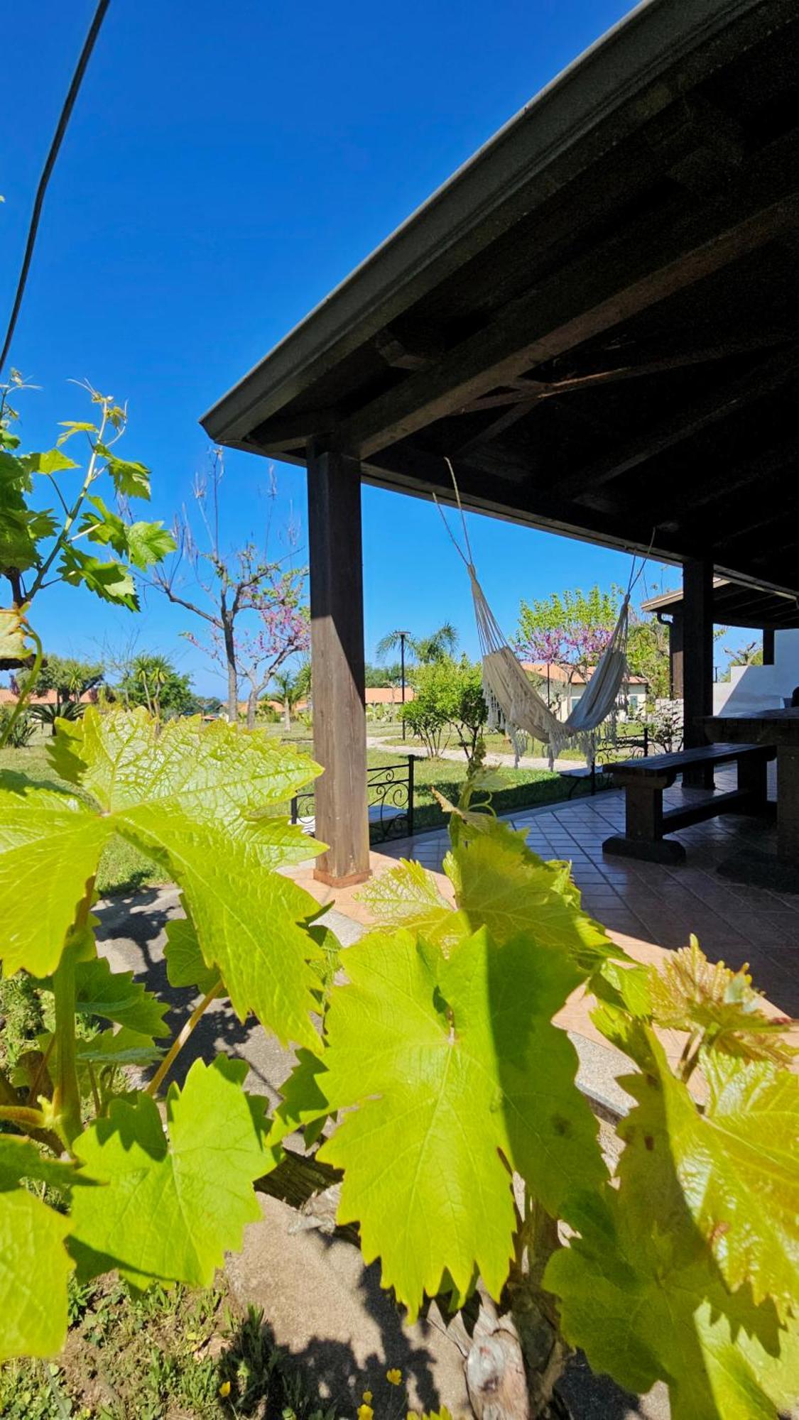 Agriturismo Ninea Рикади Экстерьер фото
